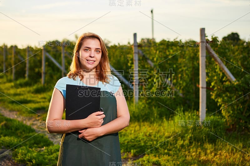 在水果园里工作的女农民。生物学家检查树莓丛