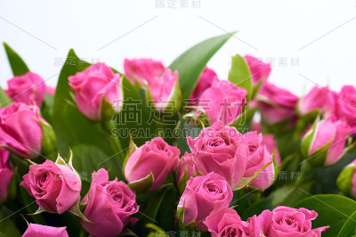 束玫瑰