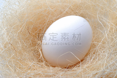 蛋巢
