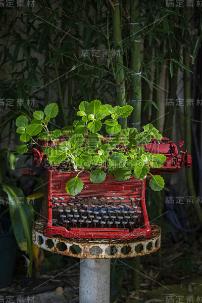 打字机与植物
