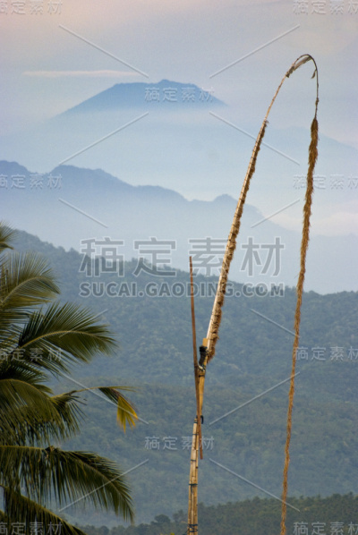 巴厘岛Penjor