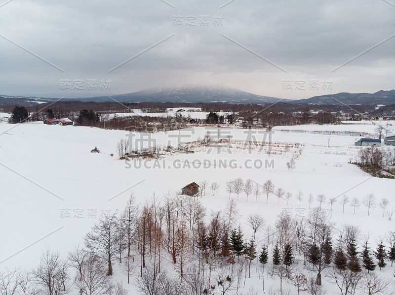 冬天的风景照片，白雪覆盖的田野和光秃秃的树木与雄伟的Yotei山在背景