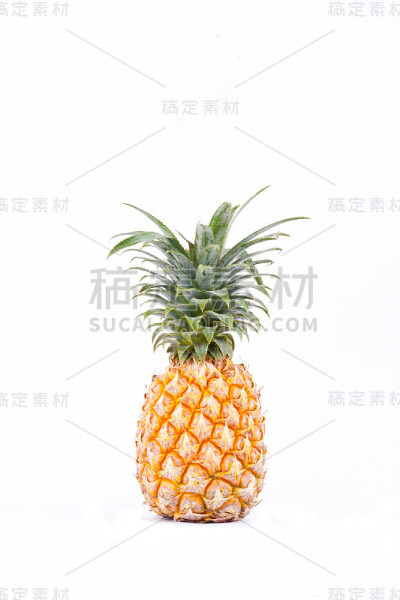 成熟凤梨(Ananas comosus)对白底健康凤梨果品进行分离