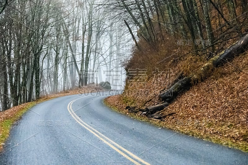 在阿巴拉契亚山脉的清晨，沿着蓝岭公园大道蜿蜒的道路