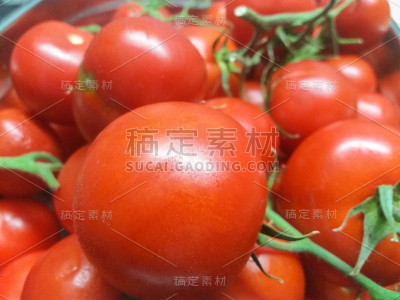 西红柿