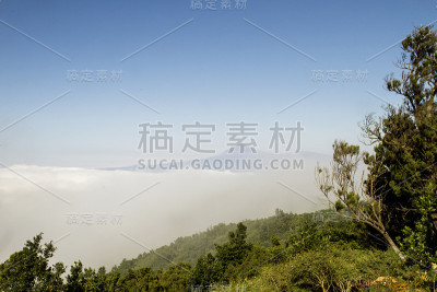 加那利群岛的信风