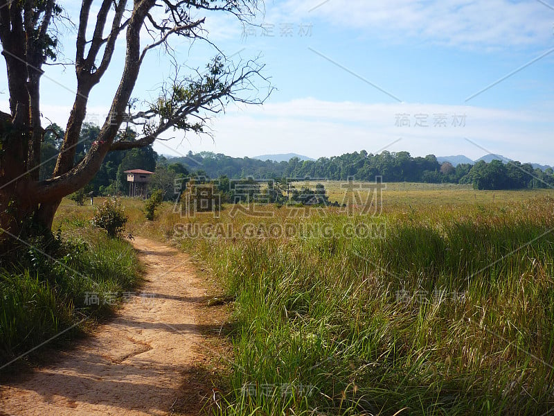 泰国Khao Yai国家公园景观