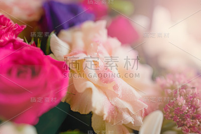 背景花束不同的春天充满活力的鲜花在美丽的阳光。特写镜头。副本的空间。模糊,有选择性的重点