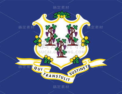 美国康涅狄格国旗