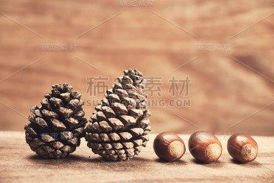 秋季植物