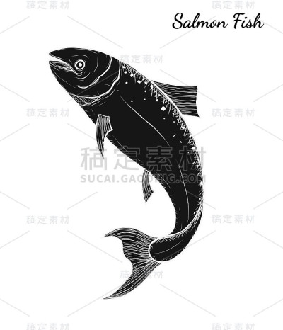 三文鱼艺术非常详细的线条艺术风格