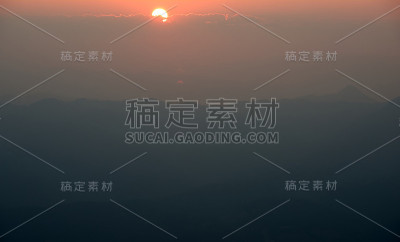 冠毛犬日落