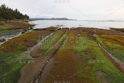 Gabriola岛海岸