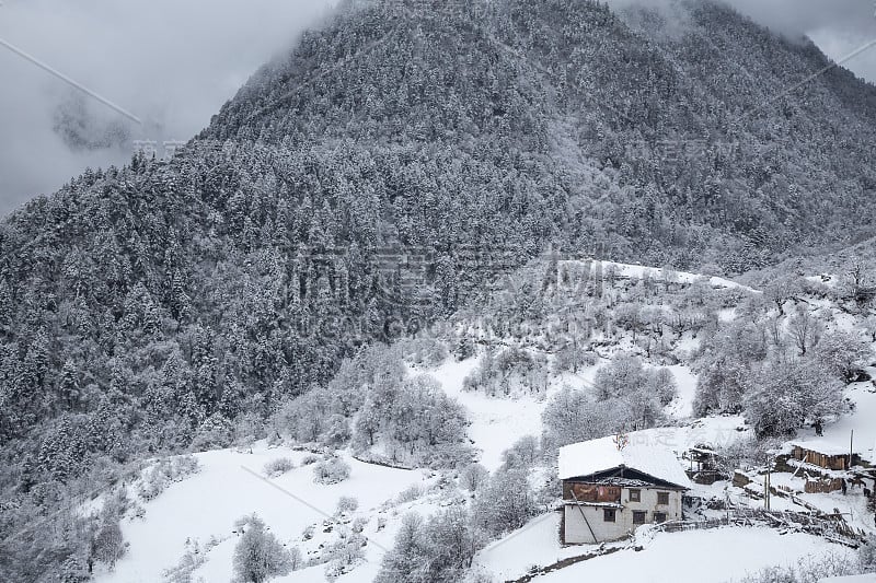 国家雪