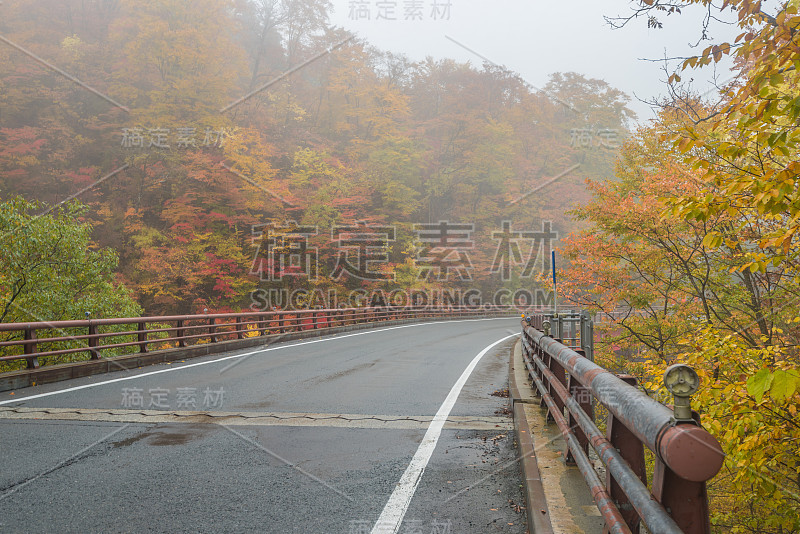 秋天的道路