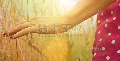 女孩在麦田里放松。
