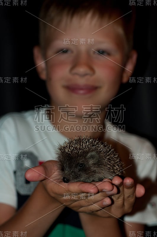 一个手上拿着刺猬的男孩