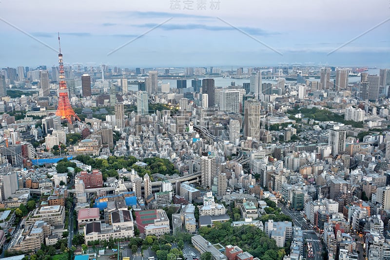 东京城市的全景天际线与照明东京塔在黄昏在日本