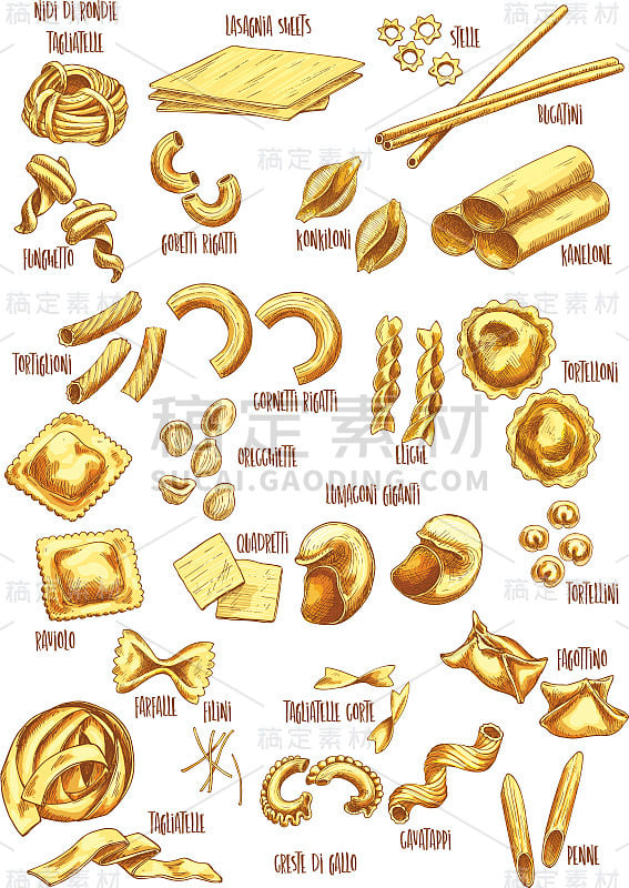 意大利面名称矢量草图图标集