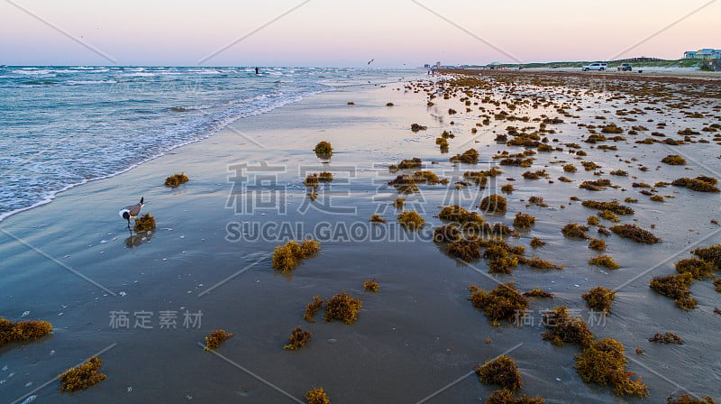 反射的水，海浪冲上岸Padre岛海滩德克萨斯州