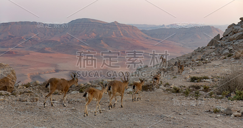 拉蒙火山口