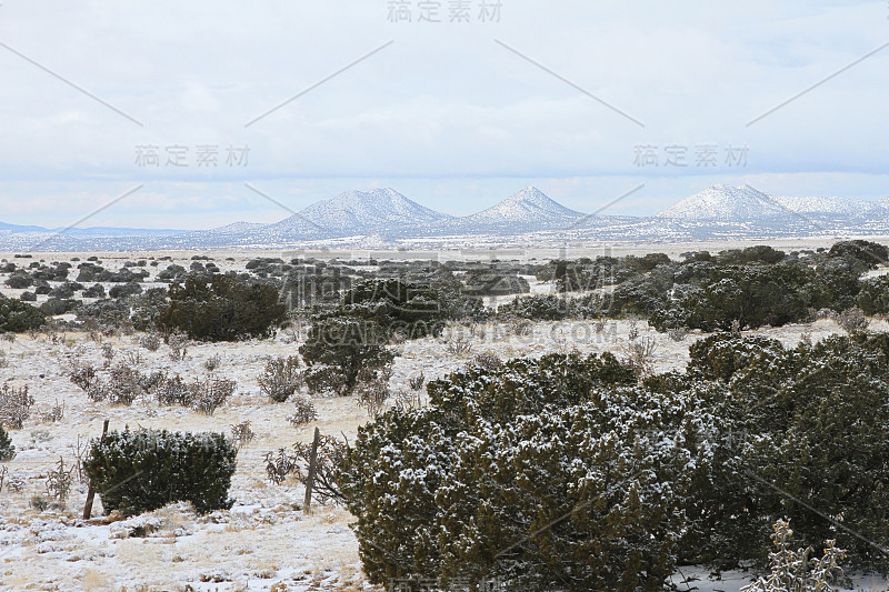 白雪覆盖的新墨西哥北部景观与杜松树