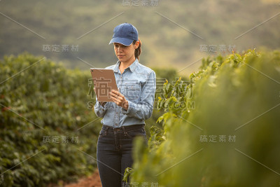 咖啡种植园的农妇