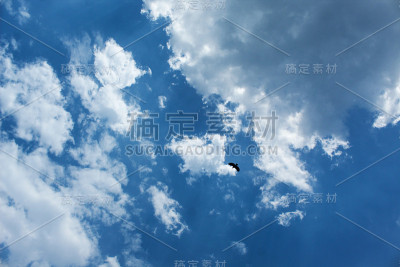 云与鸟的天空