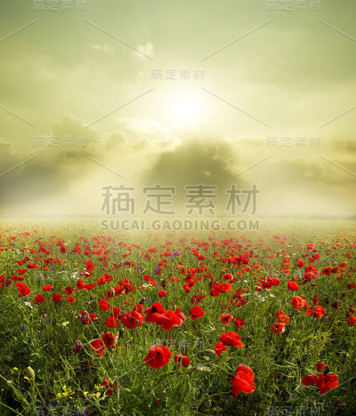 景观