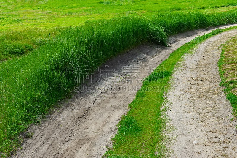 草地上的绿草中间有一条土路。