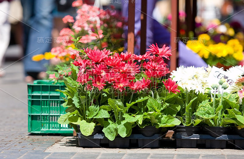 flowermarket在萨格勒布