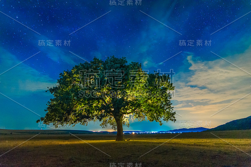 美丽的风景，一棵孤独的橡树，星空和月光