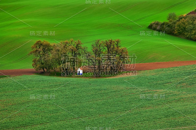 著名的摩拉维亚地区-捷克共和国