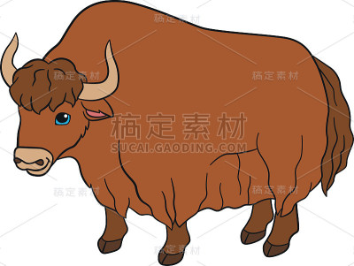 卡通动物。可爱美丽的牦牛微笑。