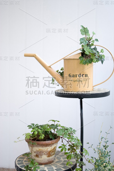 园艺的图片