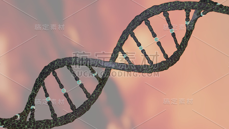 DNA链螺旋概念，DNA研究CRISPR