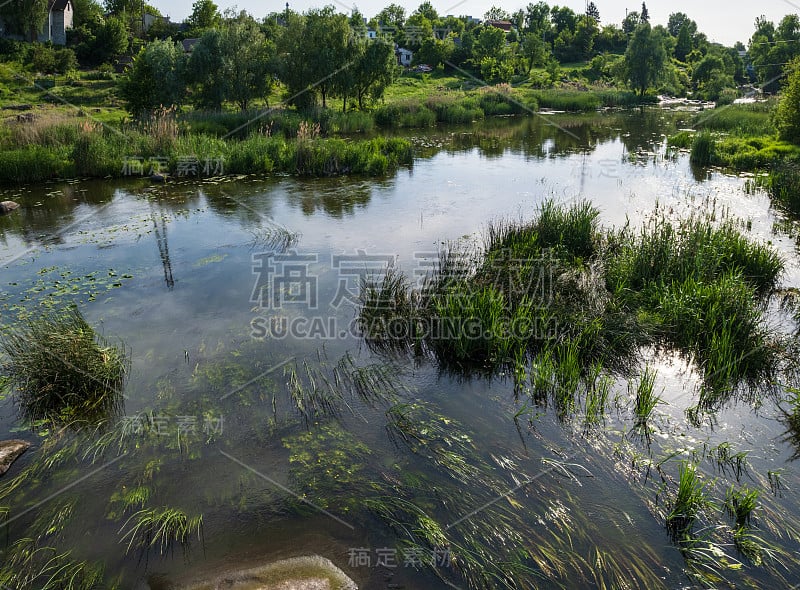 河上的小池塘，风景如画。阳光明媚的夏日，在罗斯河，博古斯拉夫，乌克兰。