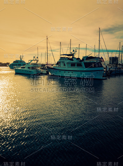 椰子林区滨