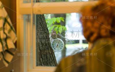 花栗鼠透过厨房的窗户看着女人。