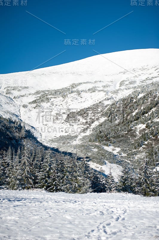 美丽的冬天。国家自然公园。下雪的冬天