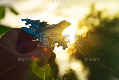 飞向天空