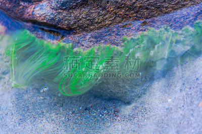 海洋景观
