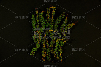 泰国黑胡椒的种子