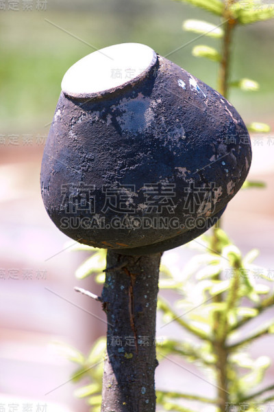 传统乌克兰砂锅