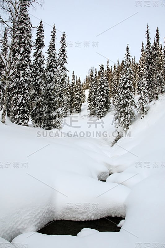 冬天森林里的小溪。山区森林，冬季山谷。