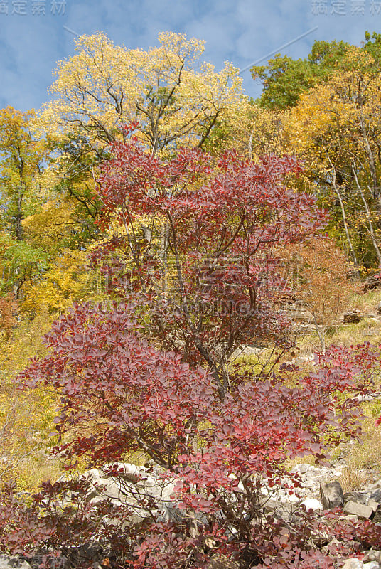 山麓的高加索地区