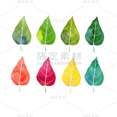 一组树叶水彩画
