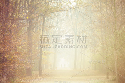 《雾中漫步》，柏林蒂尔加滕公园