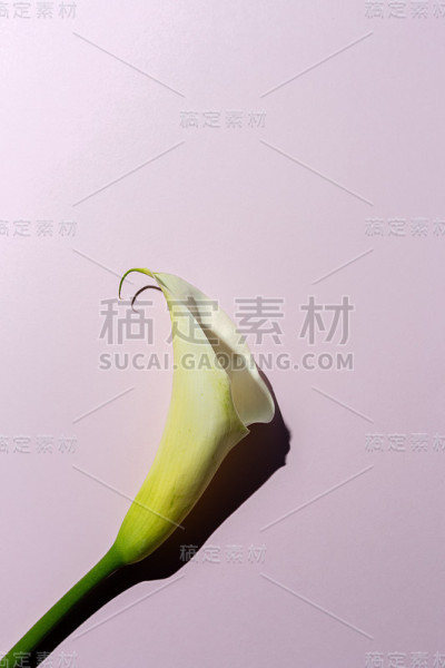 美丽的春花花束