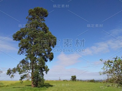 自然景观